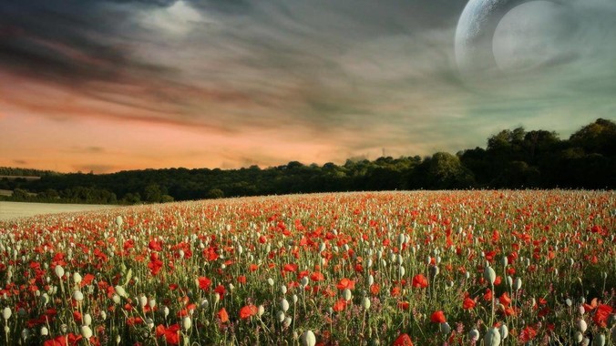 程序员空闲时间应该继续卷技术，还是找其他副业？